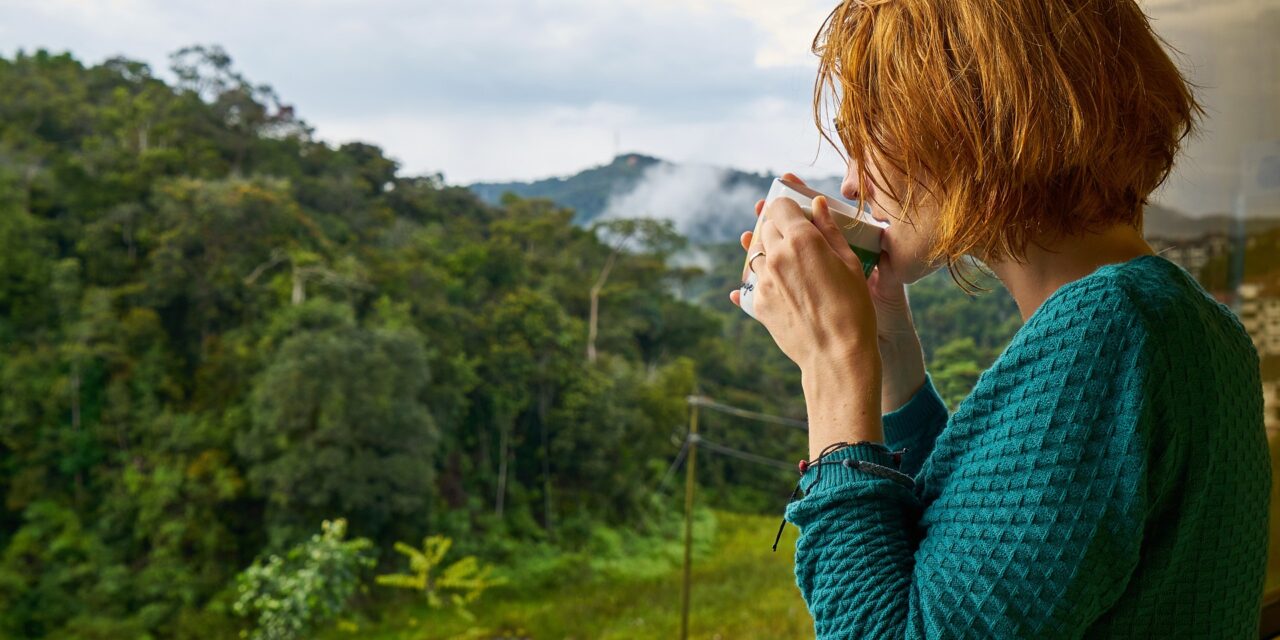 Organic vs Conventional Coffee: The real Different
