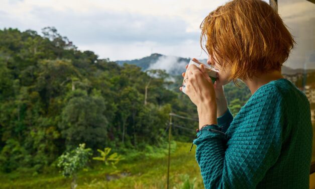 Organic vs Conventional Coffee: The real Different